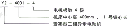 YR系列(H355-1000)高压YJTFKK4003-4三相异步电机西安西玛电机型号说明